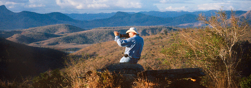 o sal da terra