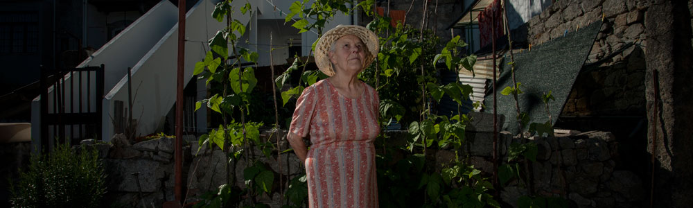 Mário Venda Nova