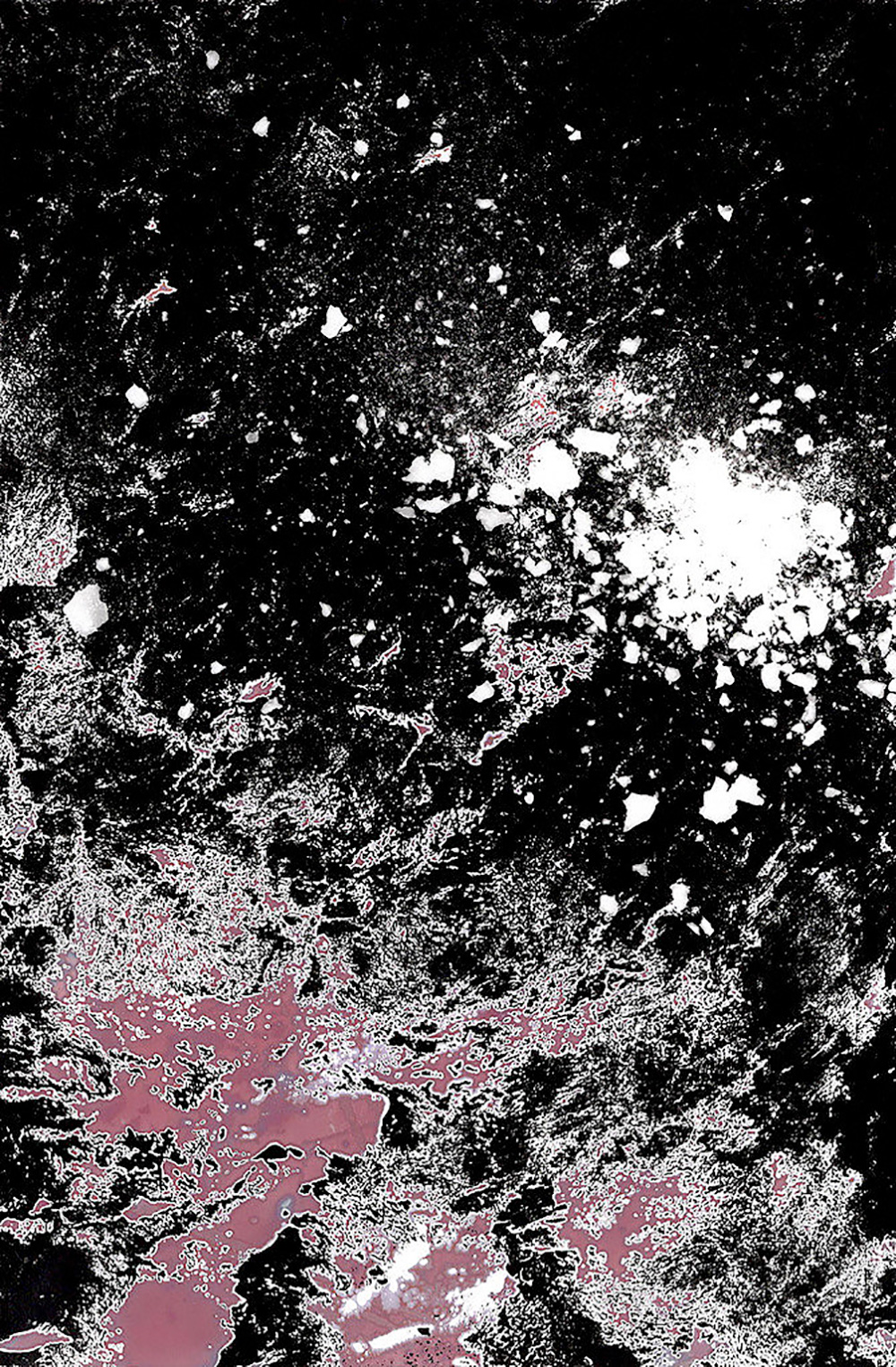 quimica ii raquel moreira